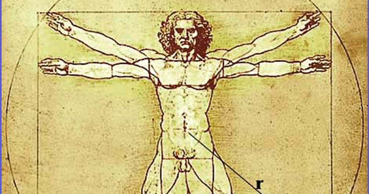 You Renaissance Man So you want to be a Renaissance Man II? Quiz - By biggs364