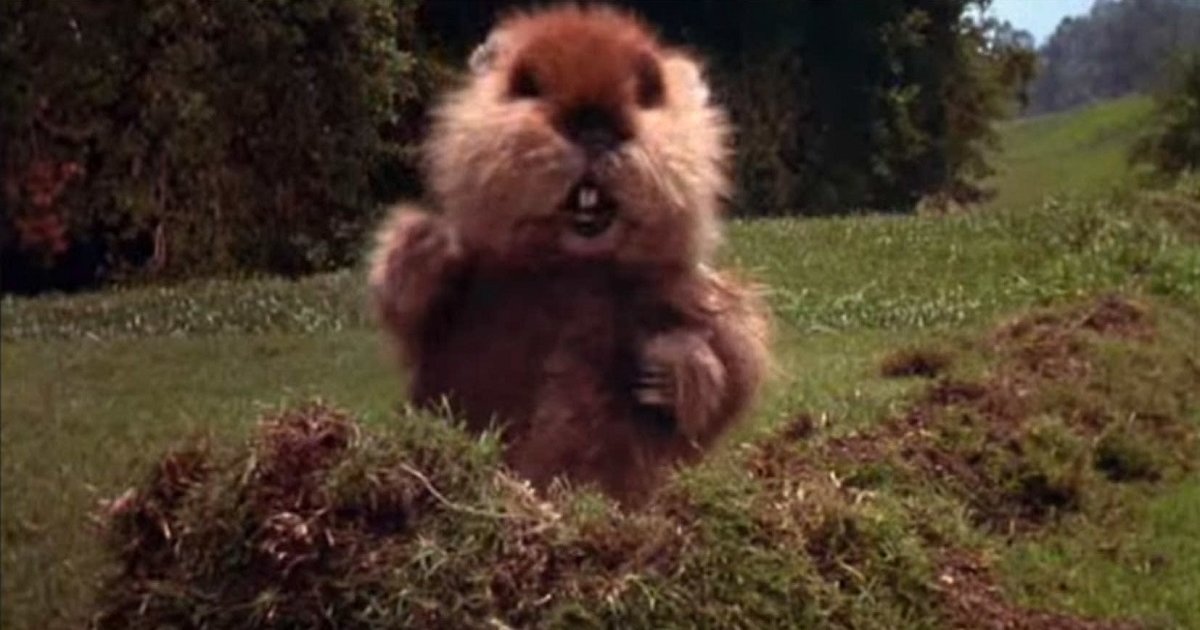 Movie Scenes Map Quiz Caddyshack By myitbos