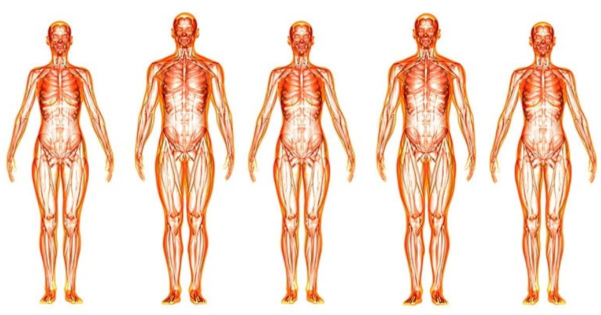 Body Parts Or Roman Place Names Quiz By Nabean body-parts-or-roman-place-names-quiz-by-nabean