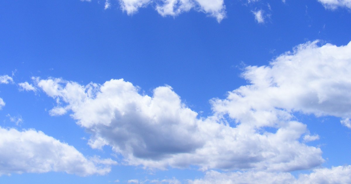 Three letter words that end in y