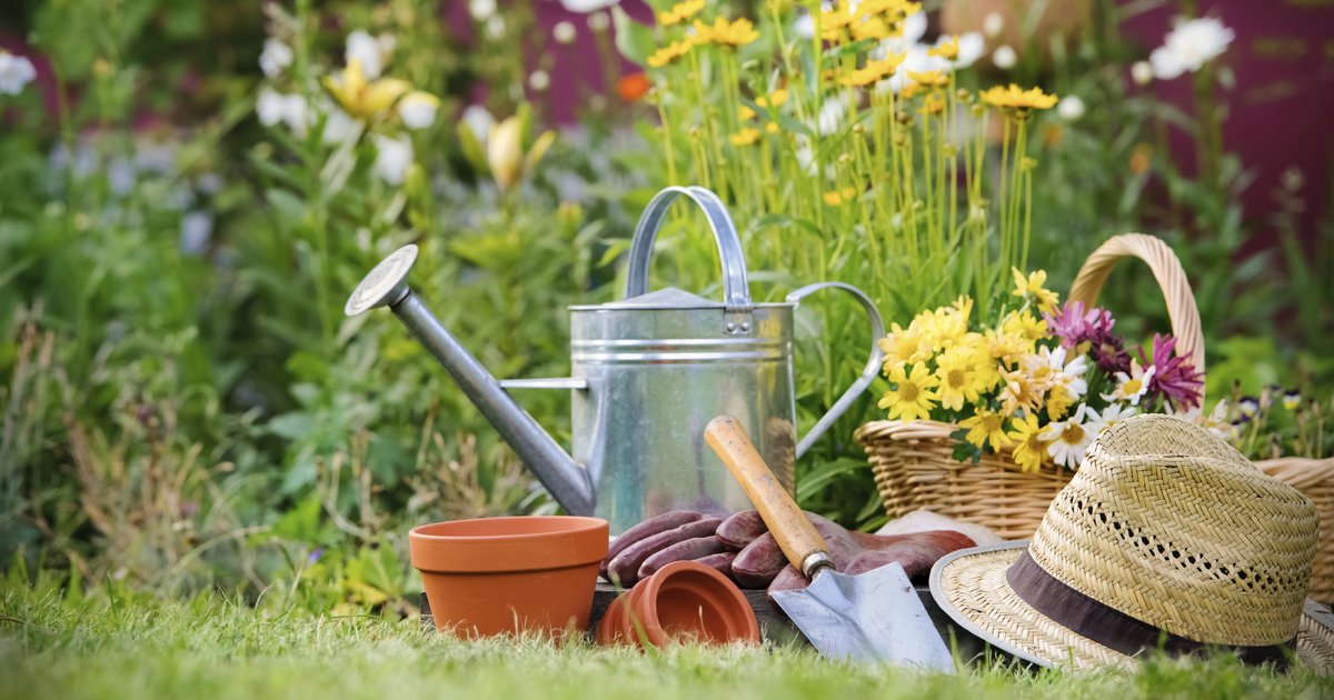 Garden Tools Quiz
