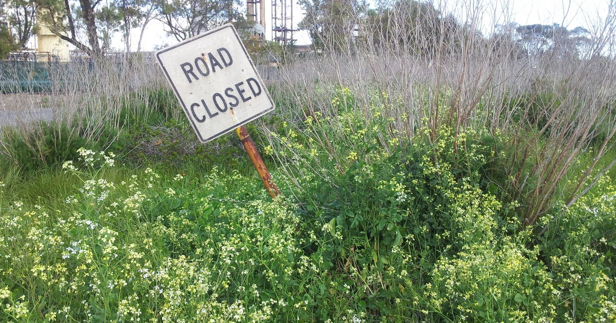 Ridiculously Obvious Signs II Quiz