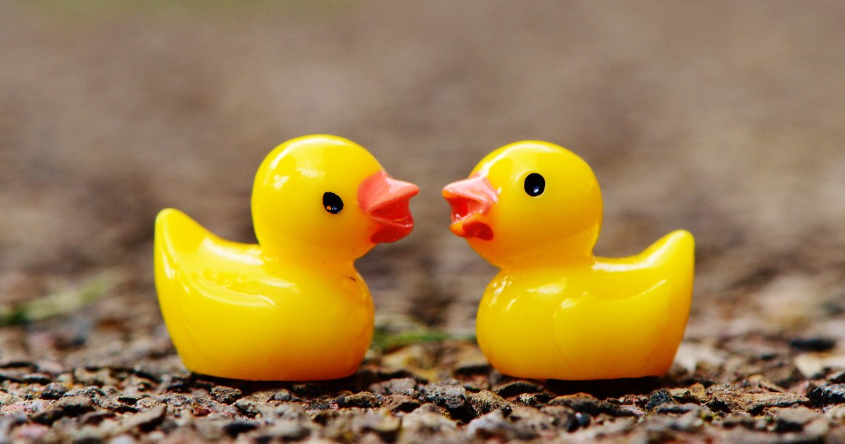 Find the Pairs of Rubber Duckies Quiz