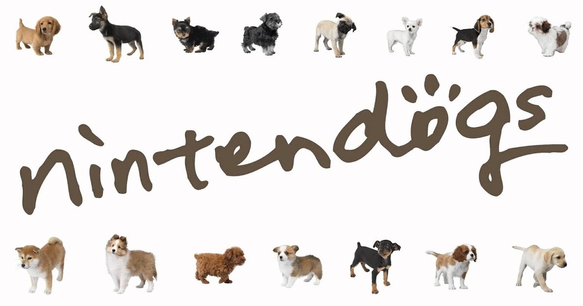 Nintendogs Breeds Quiz Stats By Jasminewinter140