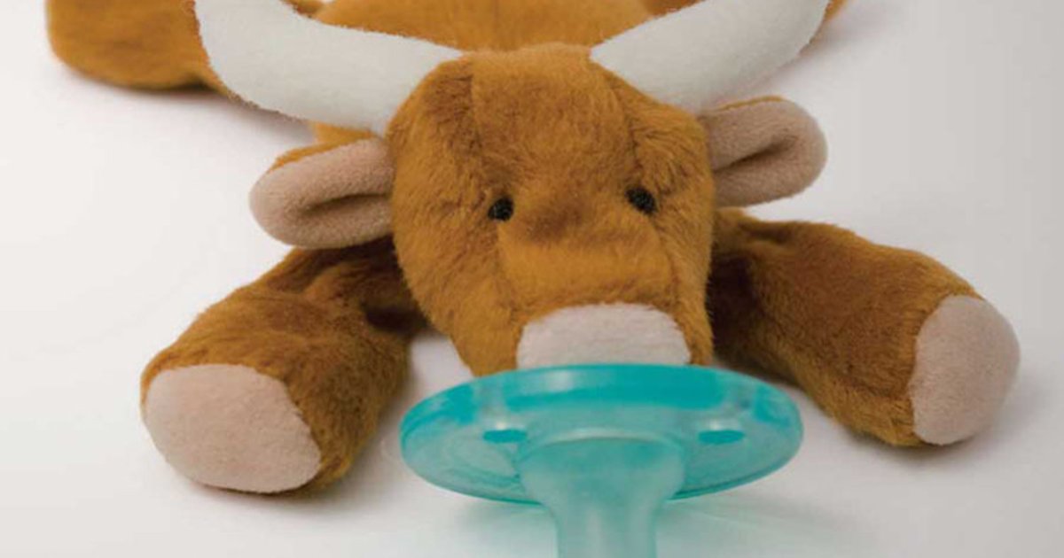 Mammals by Pacifier Quiz By Darzlat