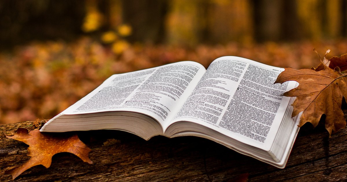 Shortest Bible Books Quiz shortest-bible-books-quiz