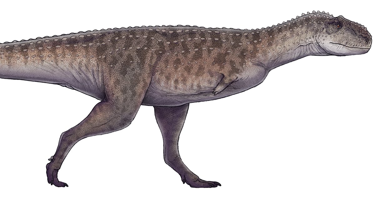'R' Dinosaurs Quiz - By C_Hasselheim