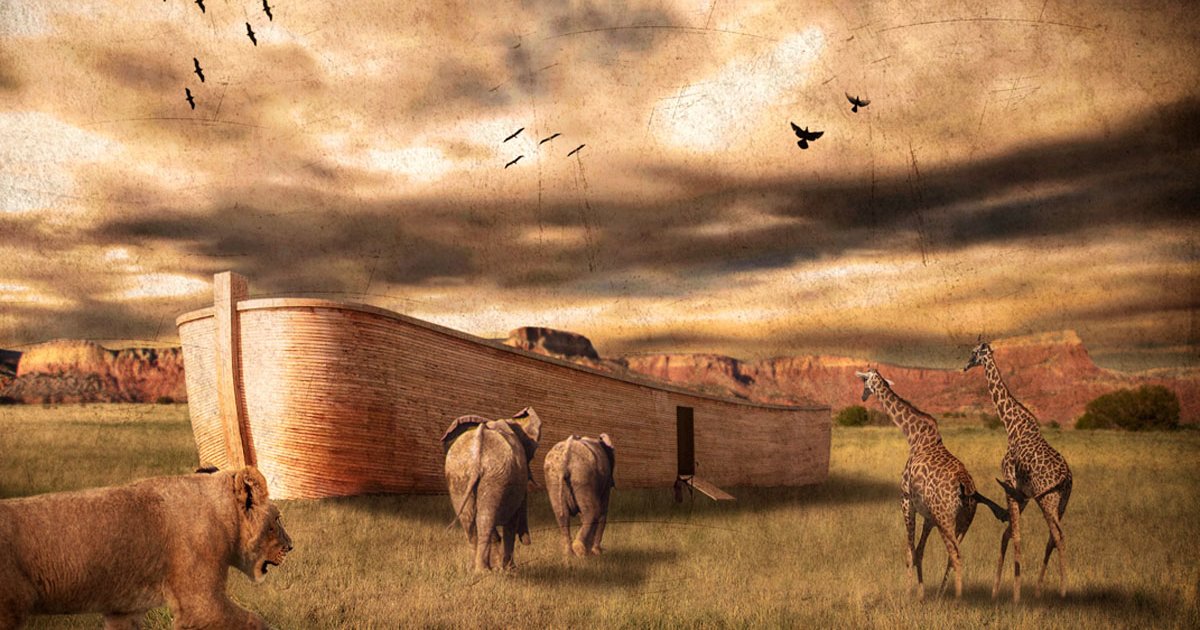 Ante Up Words That Start With Ante Quiz By Biggs364 ante-up-words-that-start-with-ante-quiz-by-biggs364