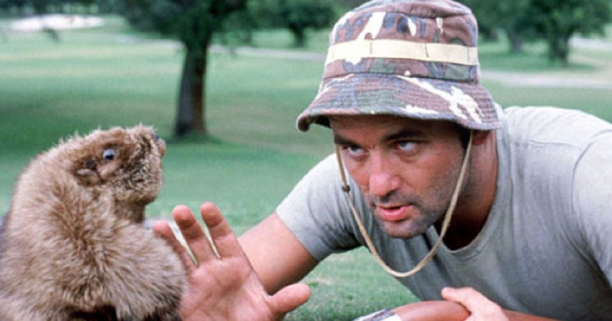 Caddyshack Poster Click Quiz By gingerlover