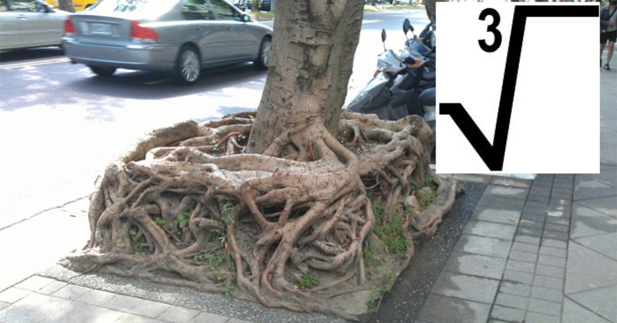 Tree Cube Root Cube Roots 01 to 99 Quiz - By Simonides
