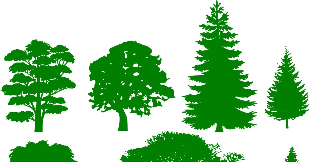 Click that Tree Quiz By kelleymiller376