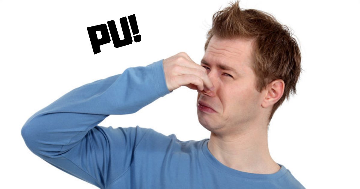 Stinkiest Places on the Quiz By mrzurkelman