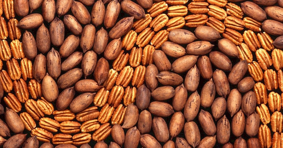 Top 10 pecan producing states (2018) Quiz By bigpond1966