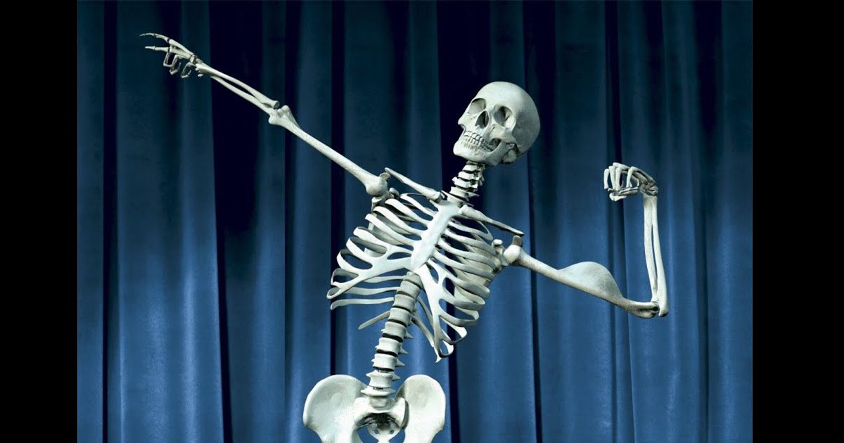 Anatomy Puns Quiz By alinrotundu