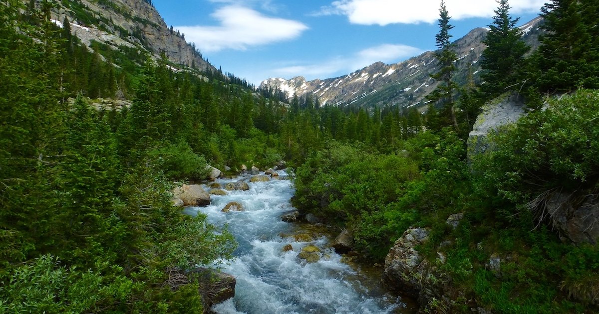 Terrestrial Water Balance (Hydrology Quiz) By Patrick_Greylock