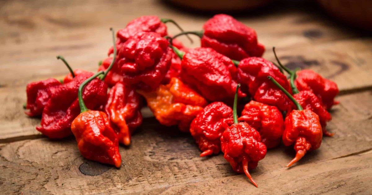 Hot Peppers by Heat 30 Second Blitz Quiz By biggs364
