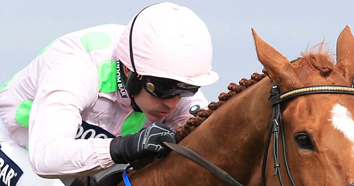 Ruby Walsh Cheltenham Festival Winners Quiz - By TheSportsman