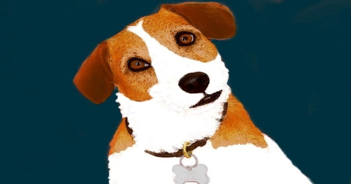 Match Game TV Dogs Quiz By DIEGO1000