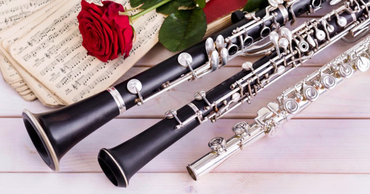 Venn Woodwind Instruments Quiz By biggs364