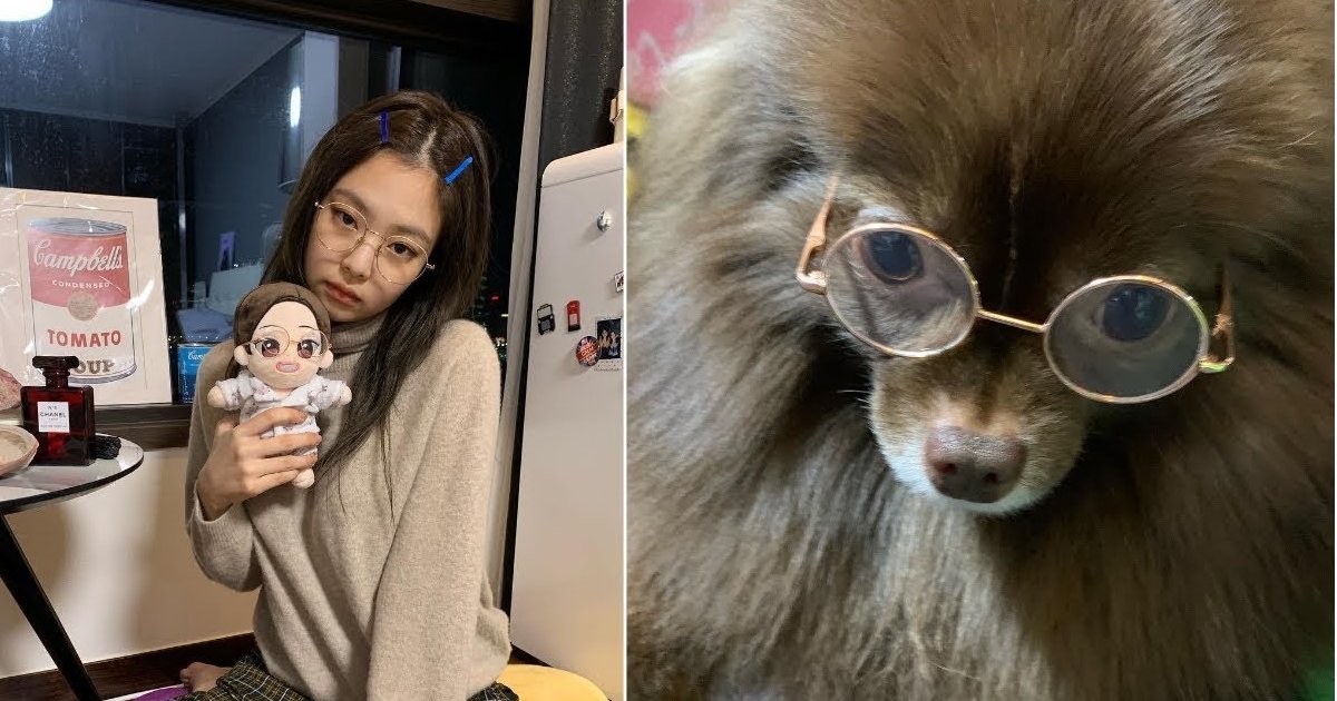 Name the blackpink pets (updated!) Quiz - By jiseoul