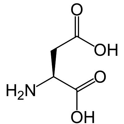 Amino Acid 3 Letter Codes Quiz