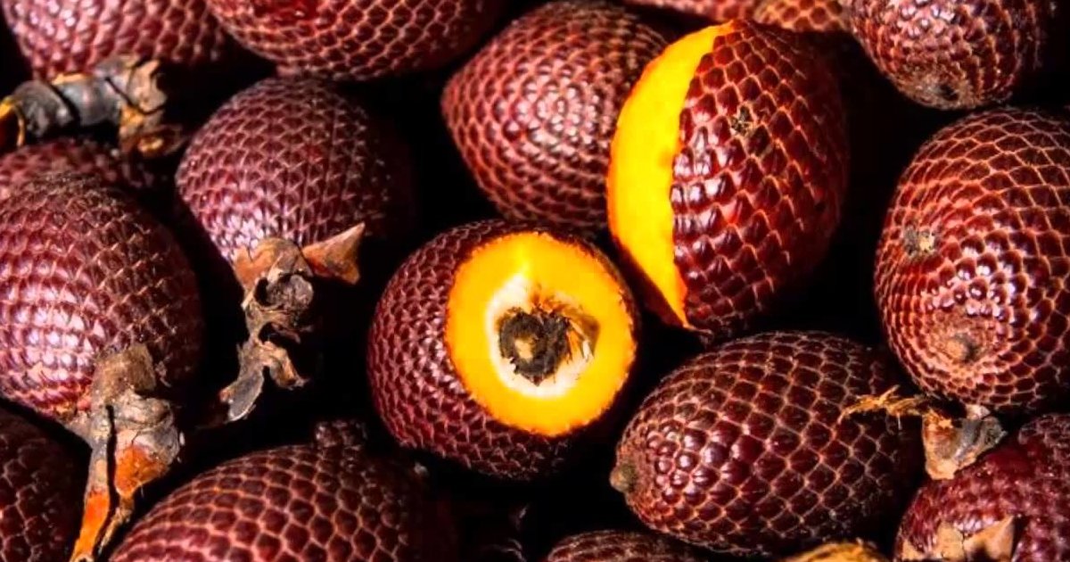 Exotic Fruits Quiz By Fest