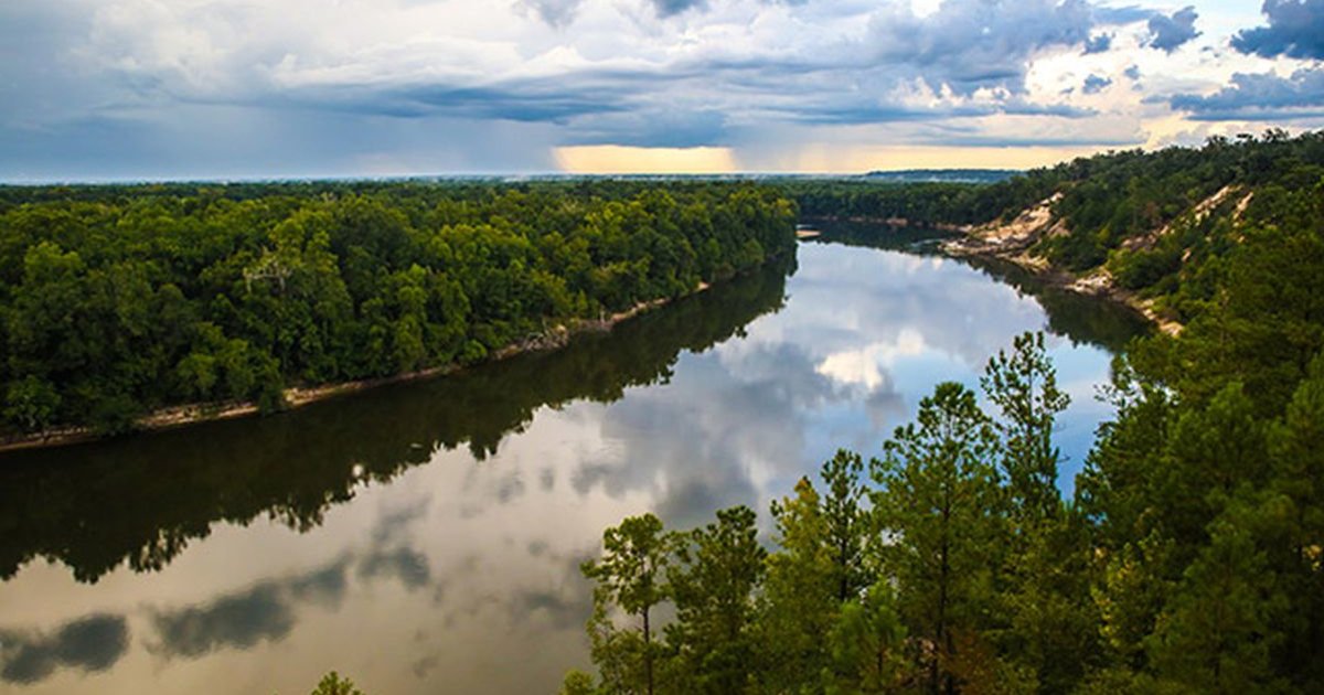 Municipalities of Liberty County, FL Map Quiz By Carlosg13