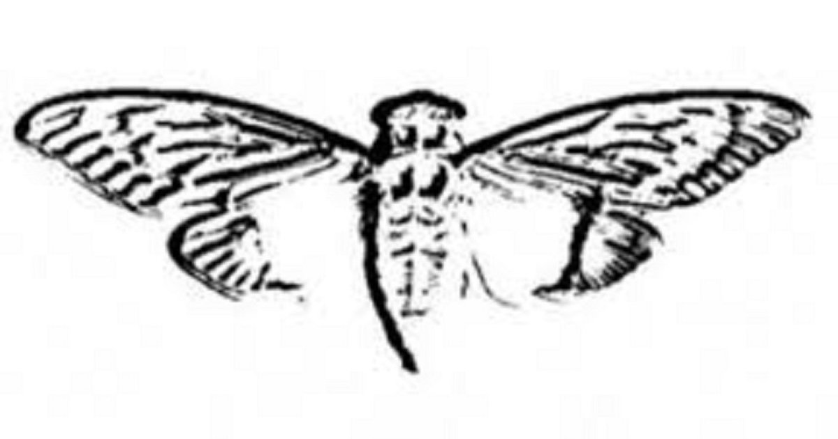 Cicada 3301 IRL Clue Locations Quiz By Thejungpuck cicada-3301-irl-clue-locations-quiz-by-thejungpuck