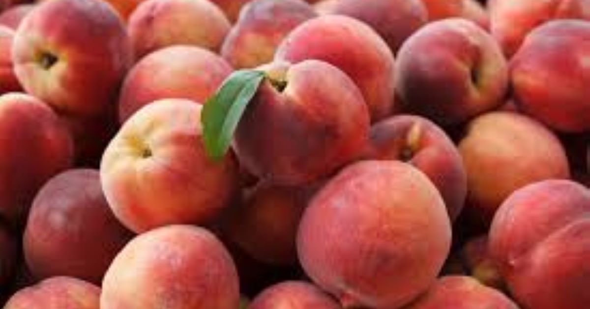 Songs About Peaches Quiz By Bratista