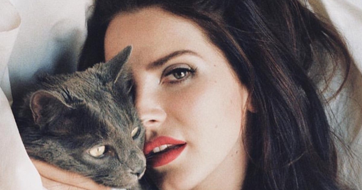 Lana Del Rey Songs Crossword Quiz By venusdelrey