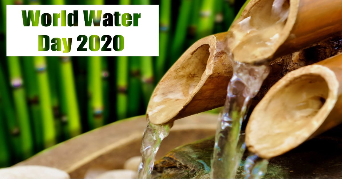 Water Filtration with Biochar Quiz By bammer25mashell