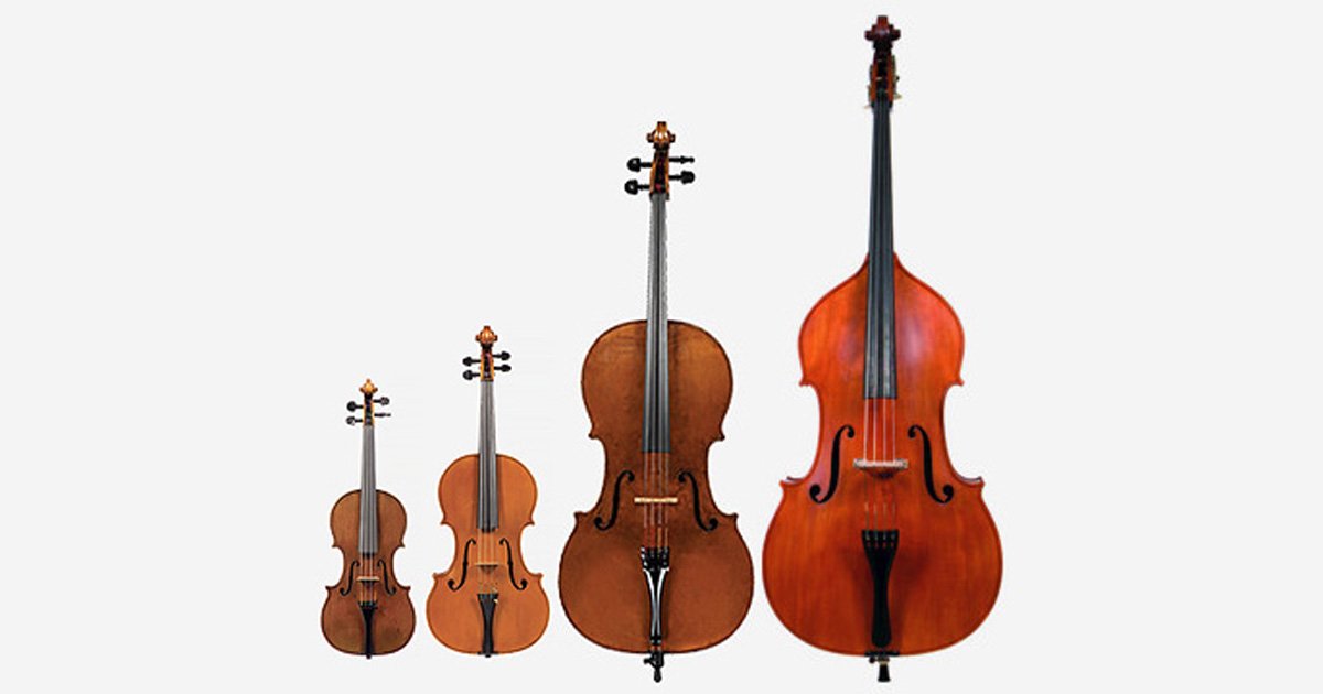 String Instruments Quartet Quiz By biggs364