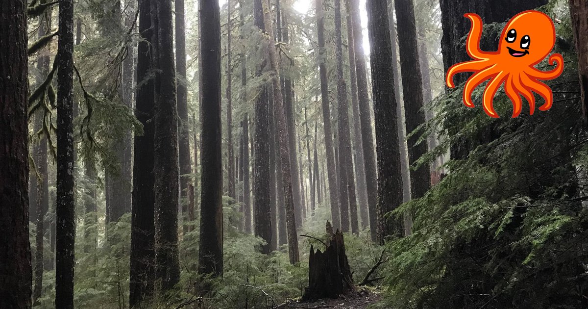 Pacific Northwest Tree Octopus Facts Quiz - By mvheald