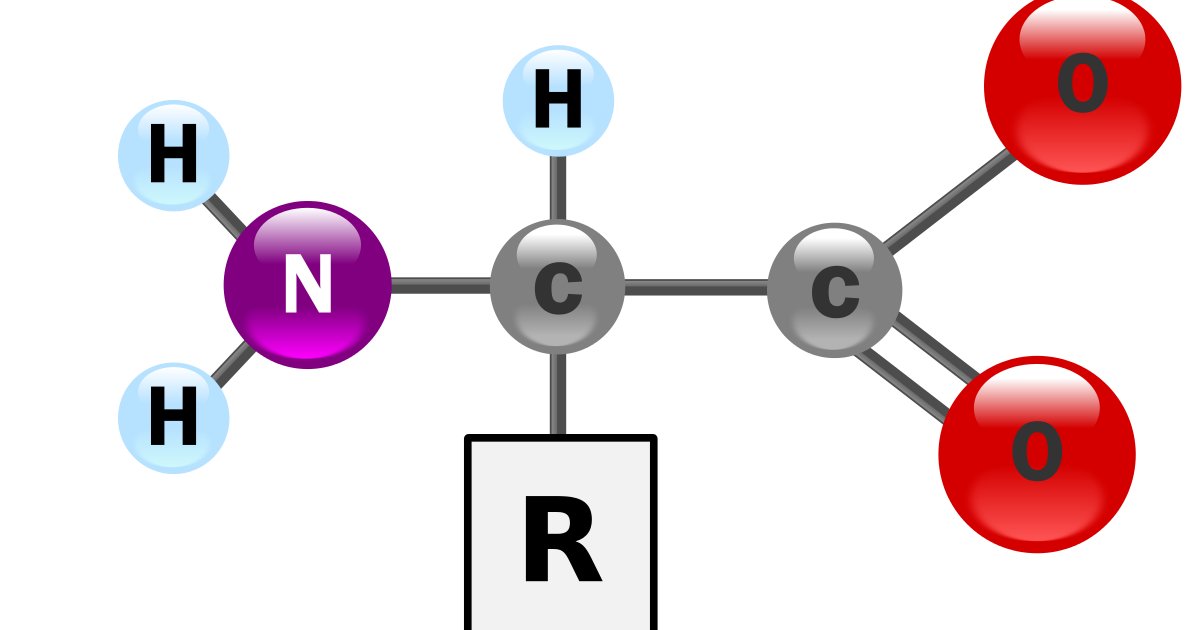 Criteria Quiz Amino Acids By dtmclachlin