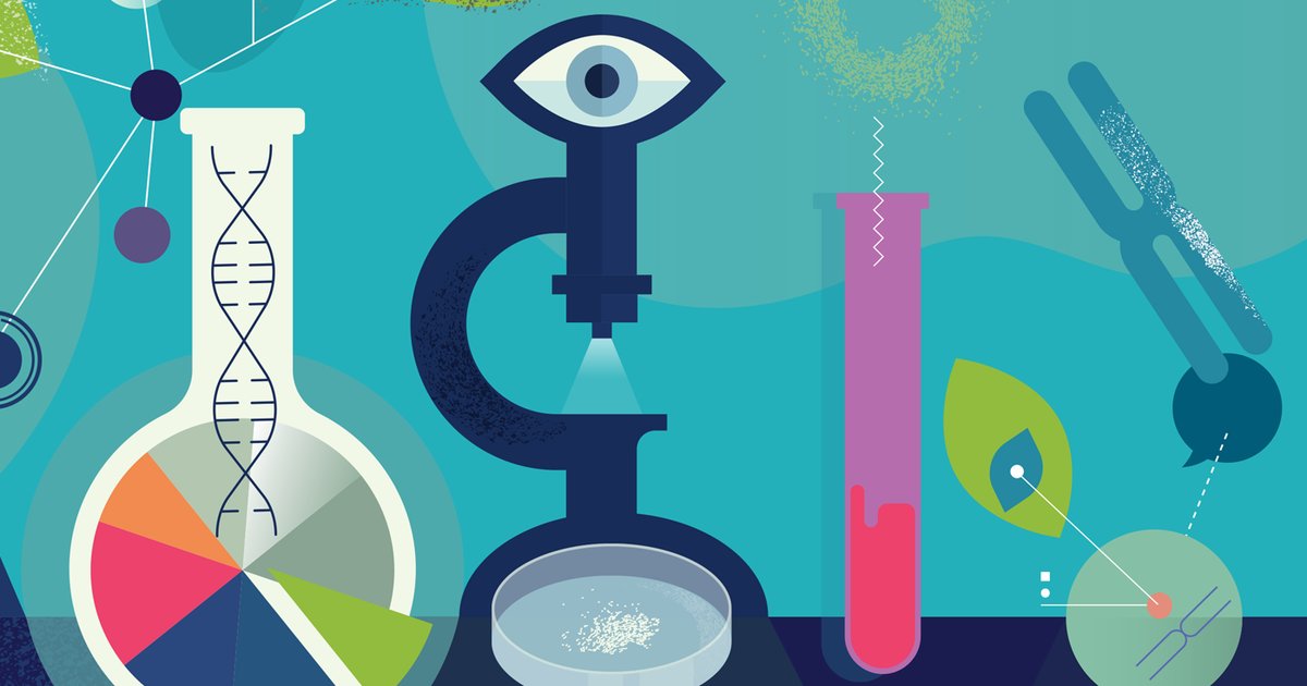 3 metalloid elements Quiz By zonkeda