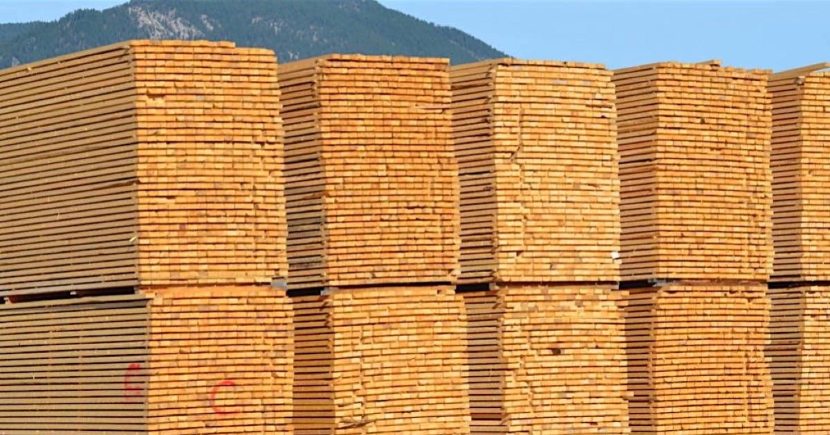 Woods of the World Quiz By Berrigan