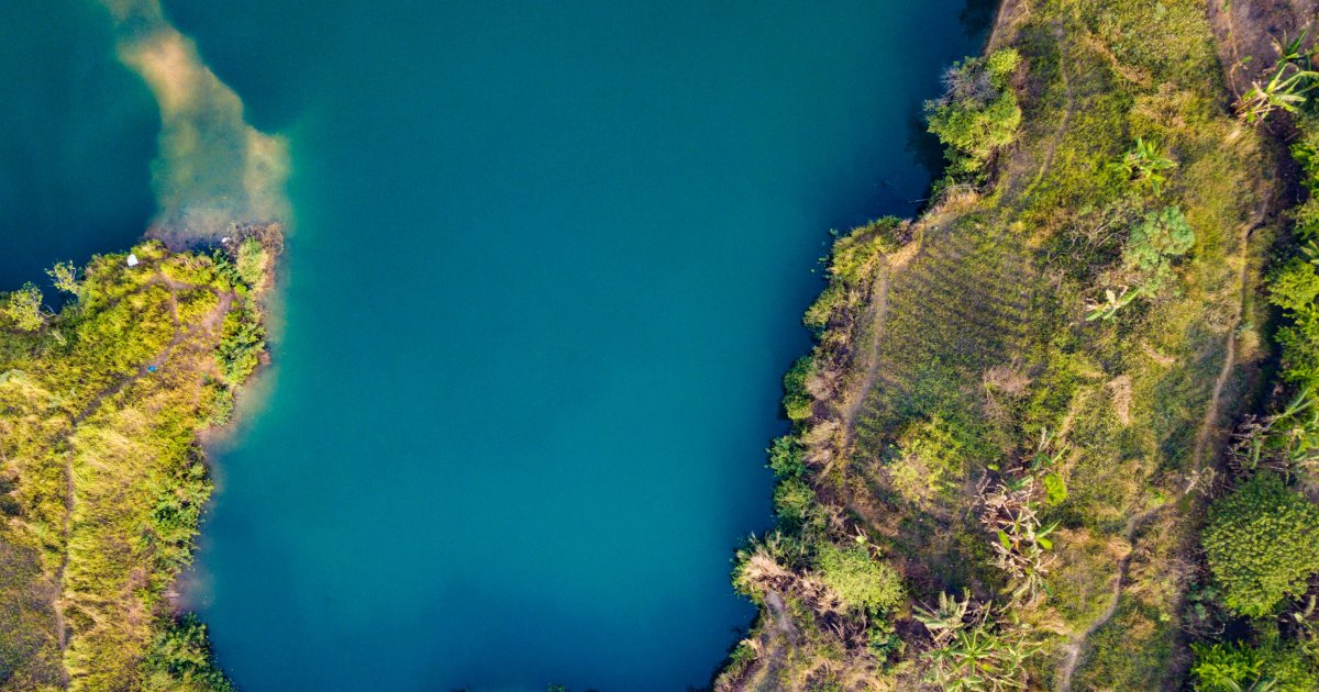 Get the Picture Aquatic or Terrestrial Plant? Quiz