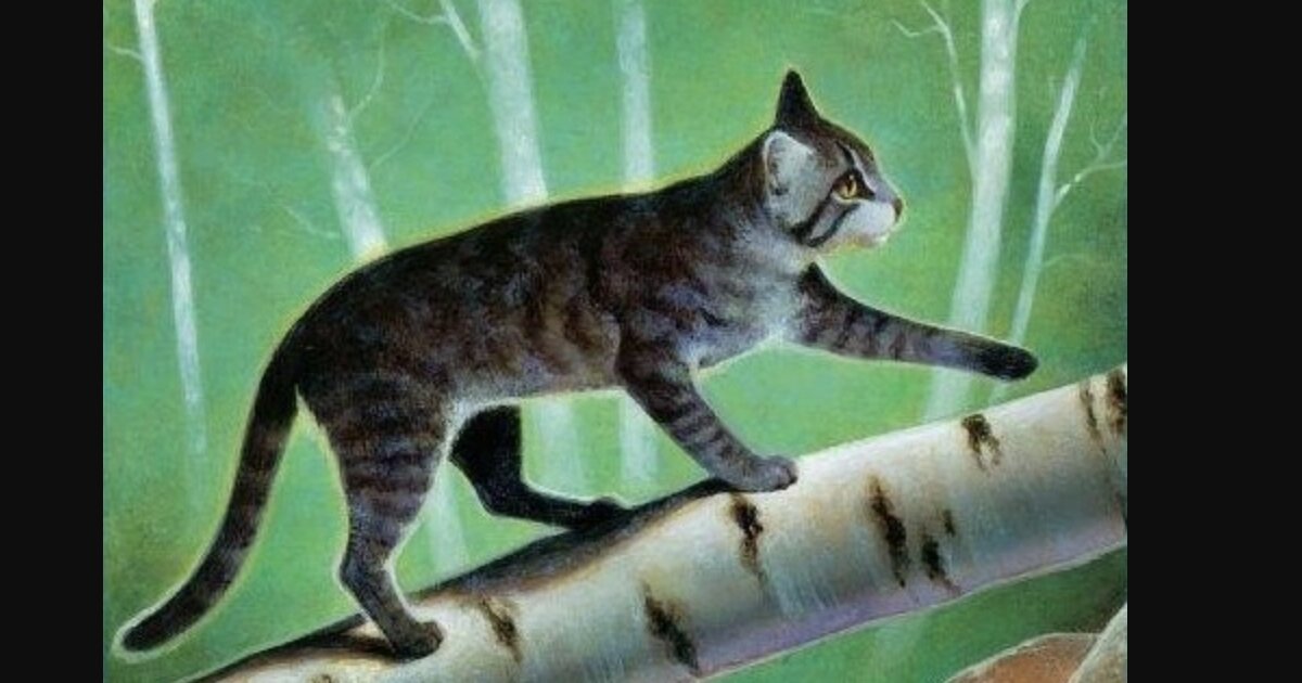 Warrior Cats Windflight Family Tree Quiz - By spiderwing21