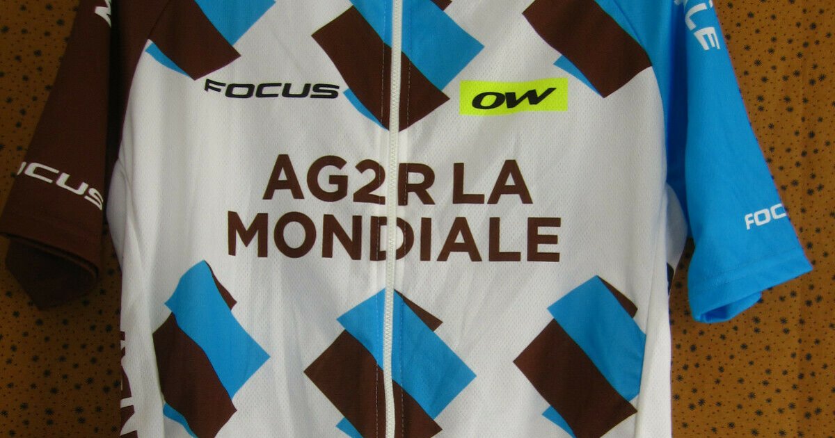 Maillot Cycliste AG2R LA MONDIALE 2010 Vermarc, Taille L, Blanc, Très Bon état