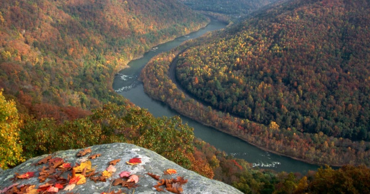 Not in West Virginia anymore Quiz By lexmith