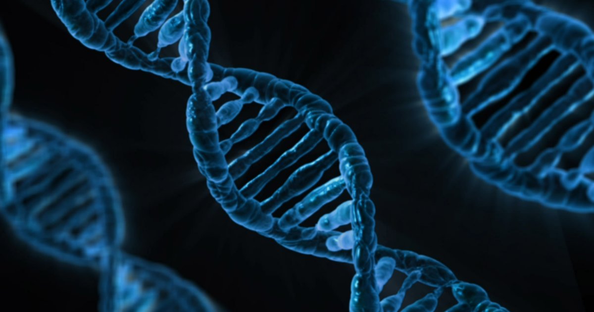Mega-Sorting Gallery: Science II Quiz