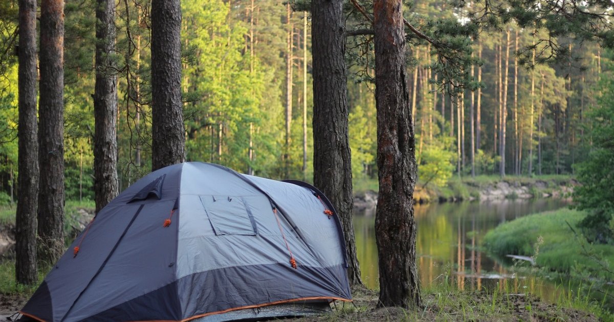 Tents and Trees Logic Puzzle 29 Quiz By garolo