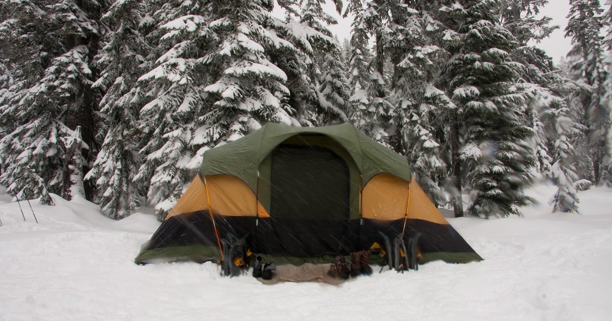 Tents and Trees Logic Puzzle 30 Quiz By garolo