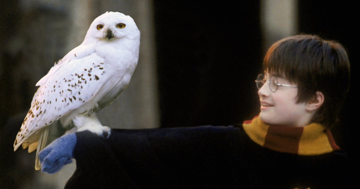 Harry Potter Pets Logic Puzzle Quiz By FabseQua