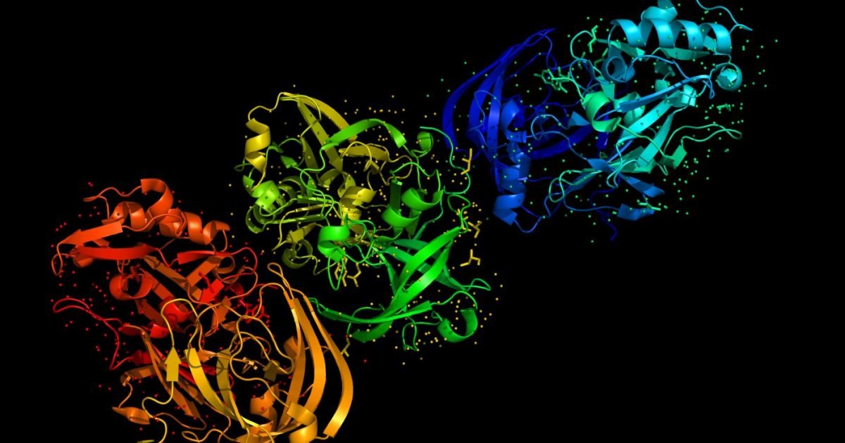 Levels of Protein Structure Quiz By t_rev19