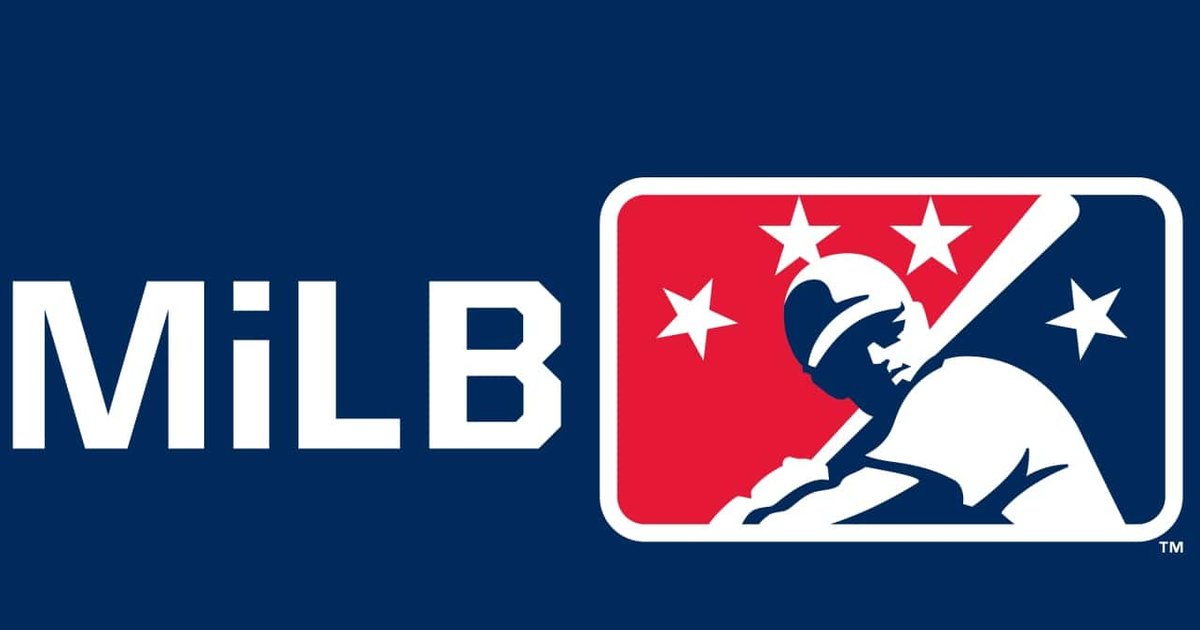 USA by Minor League Baseball Quiz By Specsbaseball14