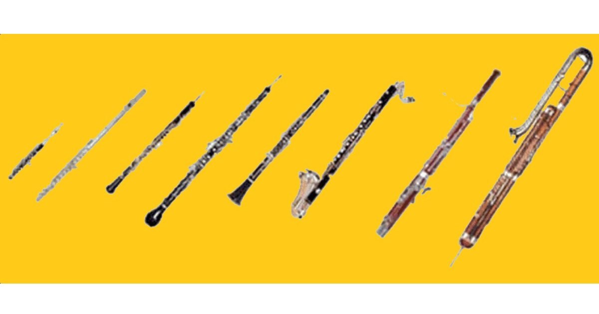 5 in 30 Woodwind Quintet Quiz By nabean