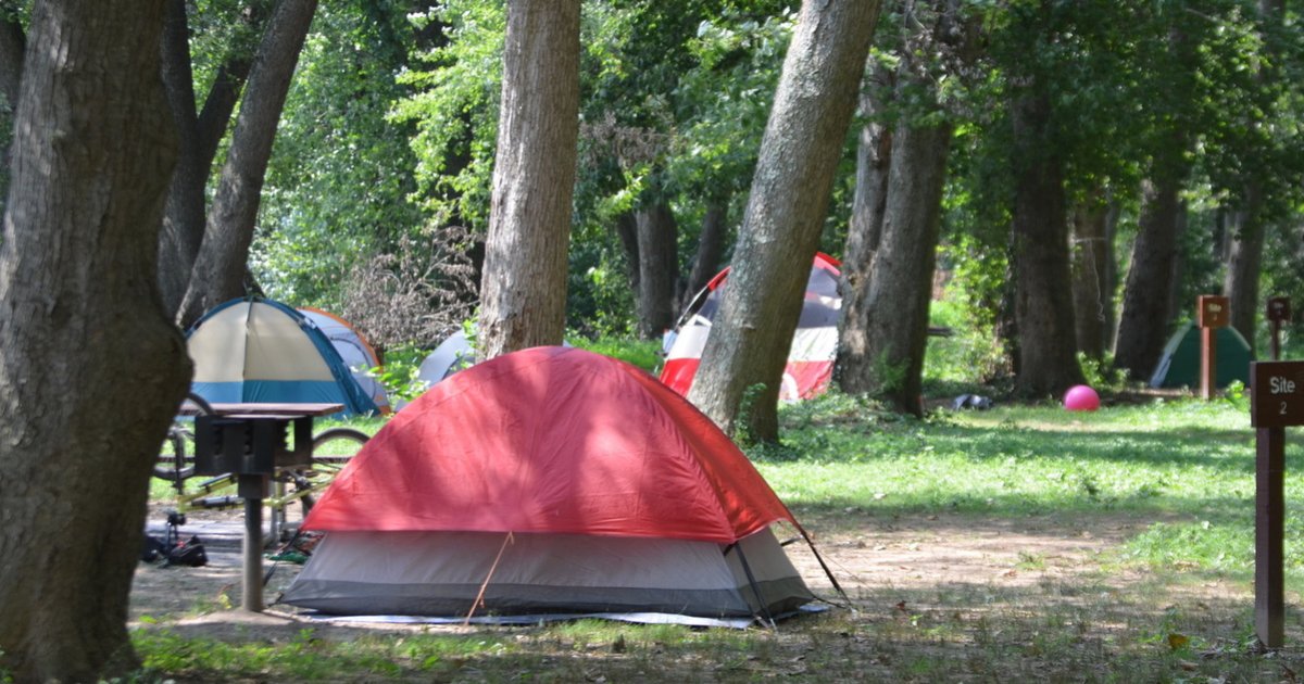 Tents and Trees Logic Puzzle 90 Quiz By garolo