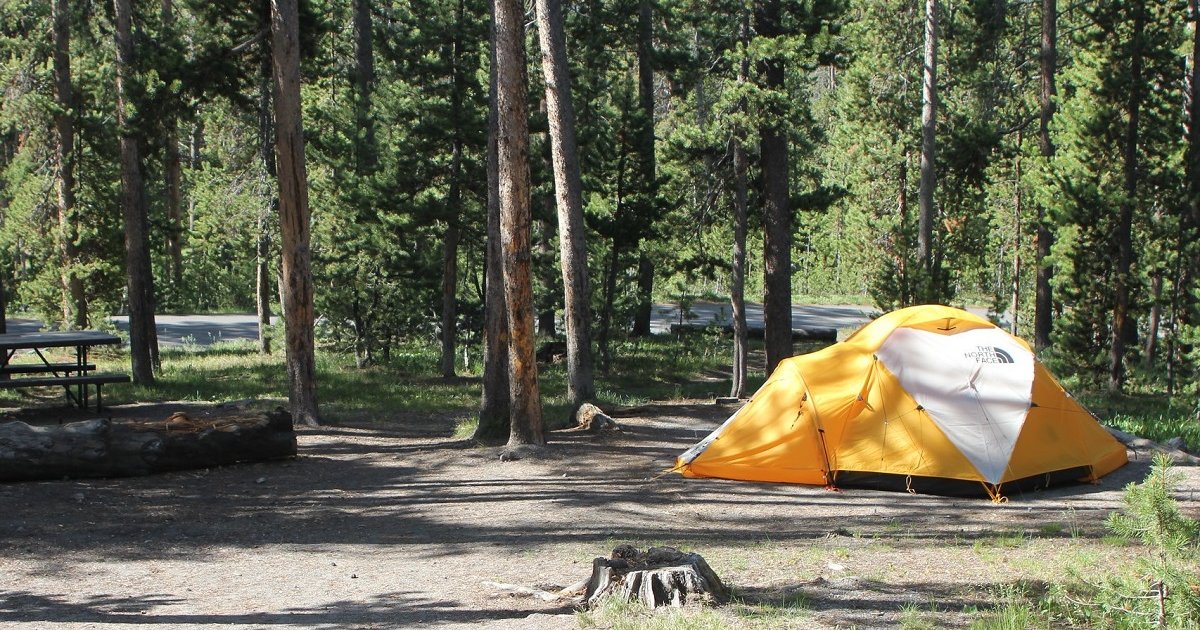 Tents and Trees Logic Puzzle 99 Quiz By garolo