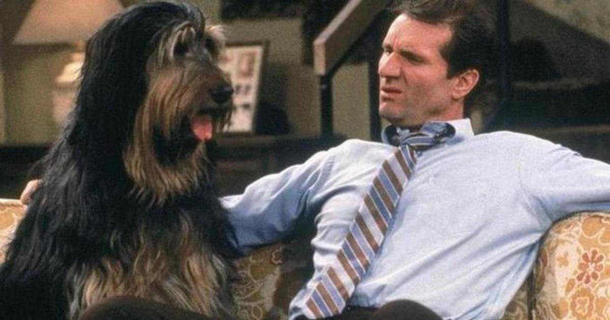 Dogs In Television Shows Quiz - By buckwyldd